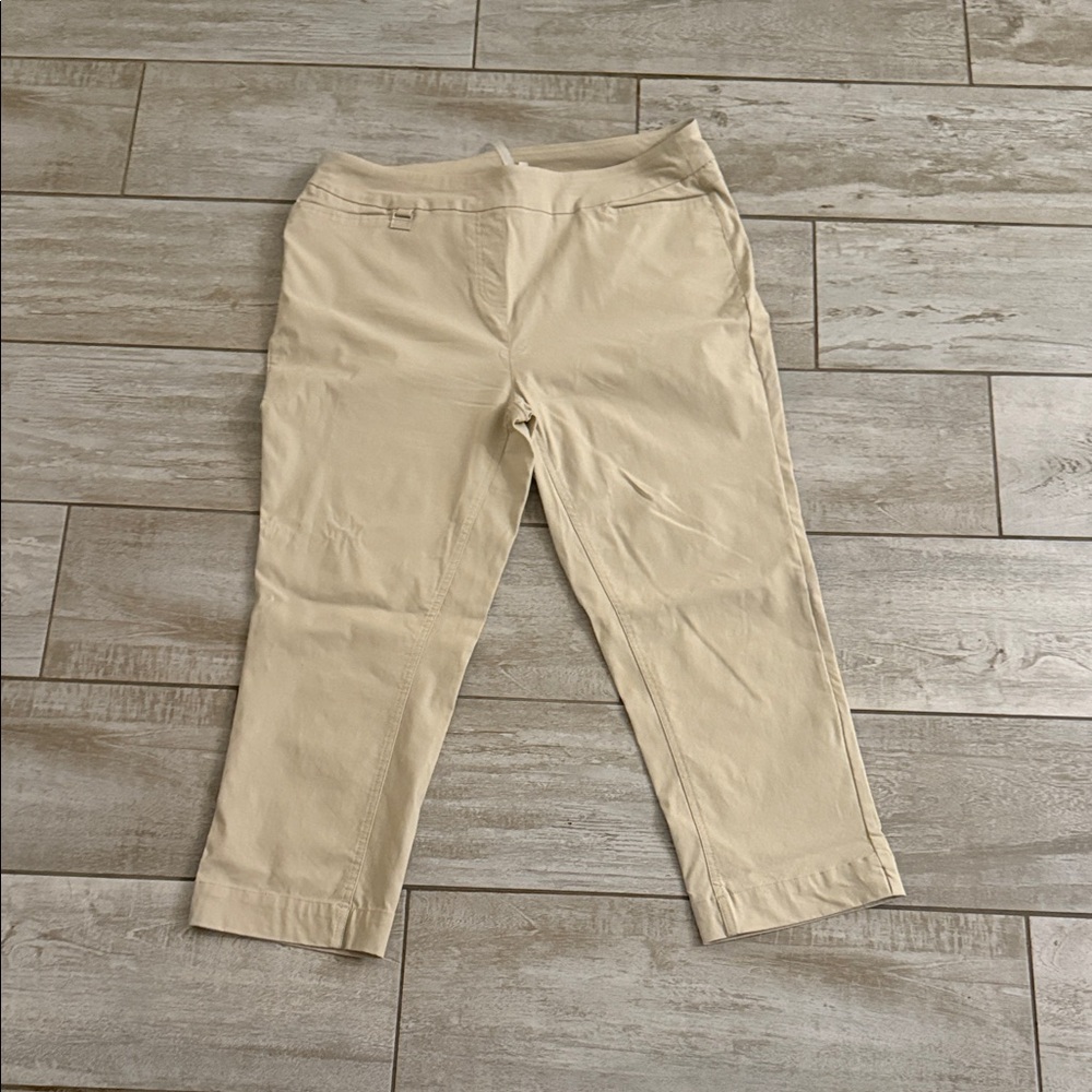 Lulu-B Woman’s Khaki Dress Pants